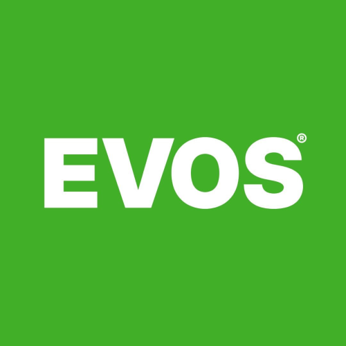 Evos