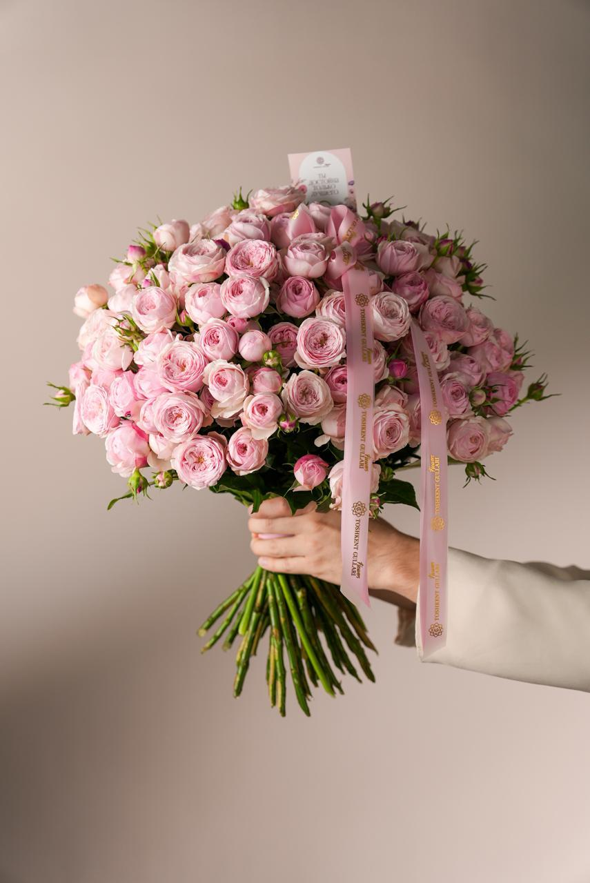Blush Garden Rose